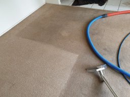 carpet cleaning process 1